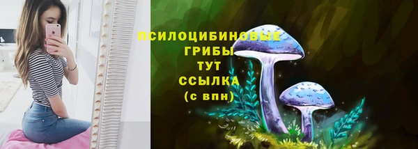 PSILOCYBIN Арсеньев