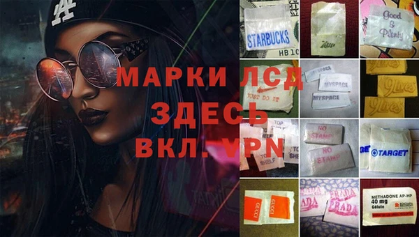 гидра Аркадак