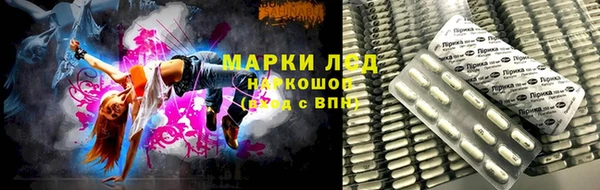 гидра Аркадак