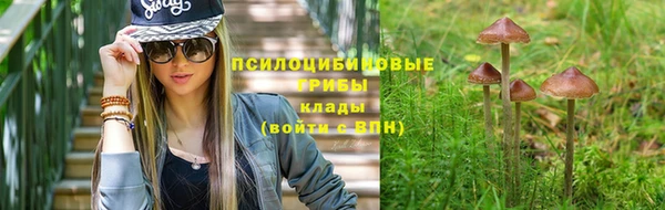 гидра Аркадак