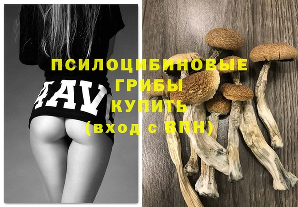 гидра Аркадак